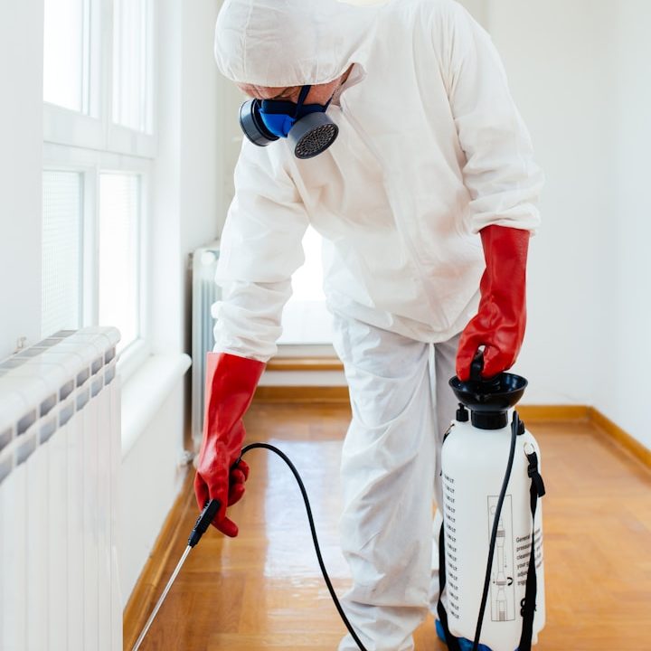Protective Gear Person in protective gear spraying pesticide in an indoor setting.